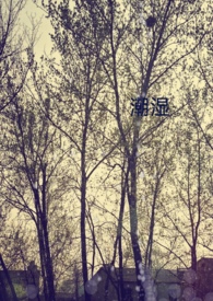 潮湿柜子发霉怎么办